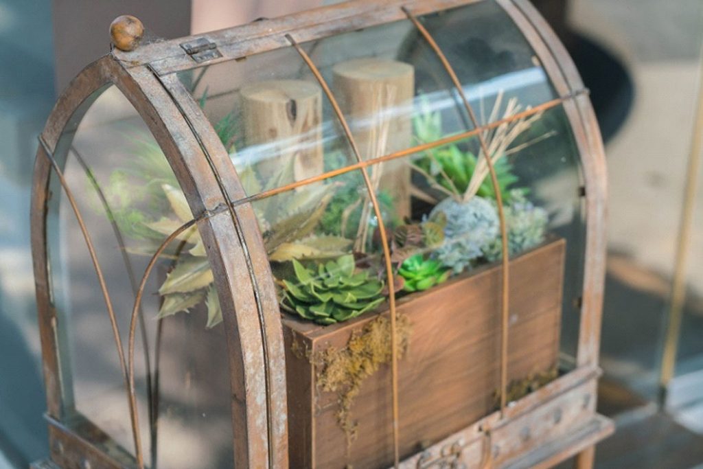 Mini Greenhouse