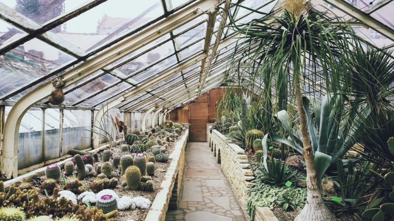 How Homeowners Pick Their Greenhouse Project Contractor